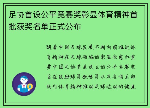 足协首设公平竞赛奖彰显体育精神首批获奖名单正式公布 足协首设公平竞赛奖彰显体育精神首批获奖名单正式公布